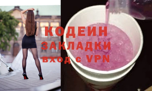 дмт Бородино