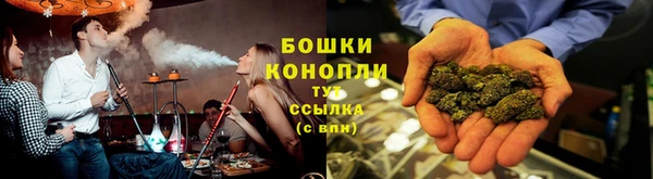 дмт Бородино
