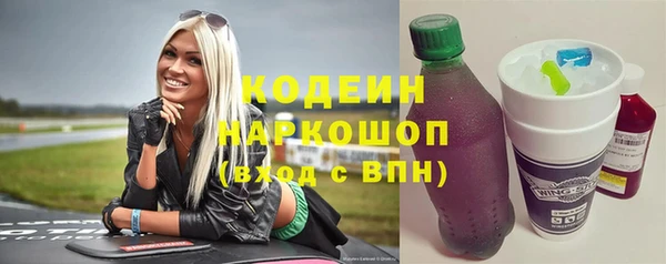 дмт Бородино