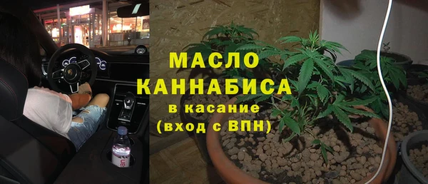 дмт Бородино