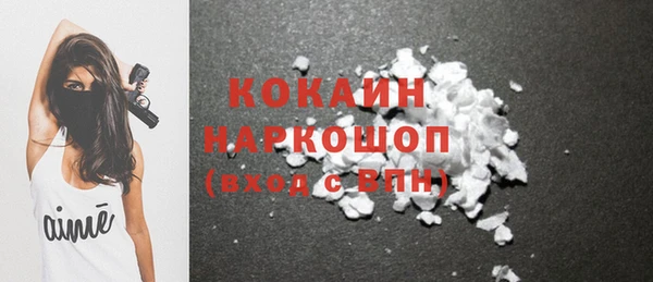 дмт Бородино
