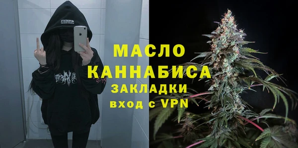 дмт Бородино