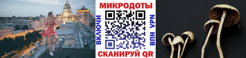 mega ССЫЛКА купить закладку Вилючинск Галлюциногенные грибы мухоморы